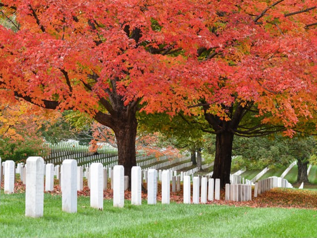 Chiusura cimitero comunale nei giorni 14 - 15 - 21 e 22 gennaio per operazioni di estumulazione